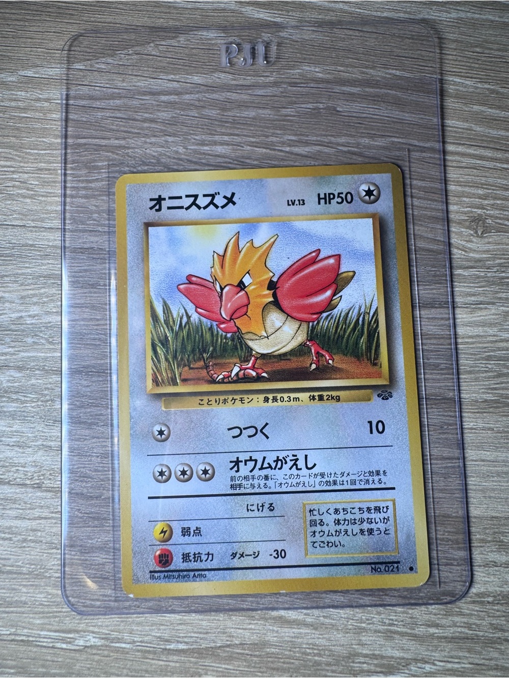 Spearow #21/Pokemon Japanese Jungle
